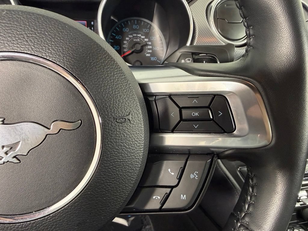 Used 2021 Ford Mustang GT w/ Equipment Group 301A RWD image 13
