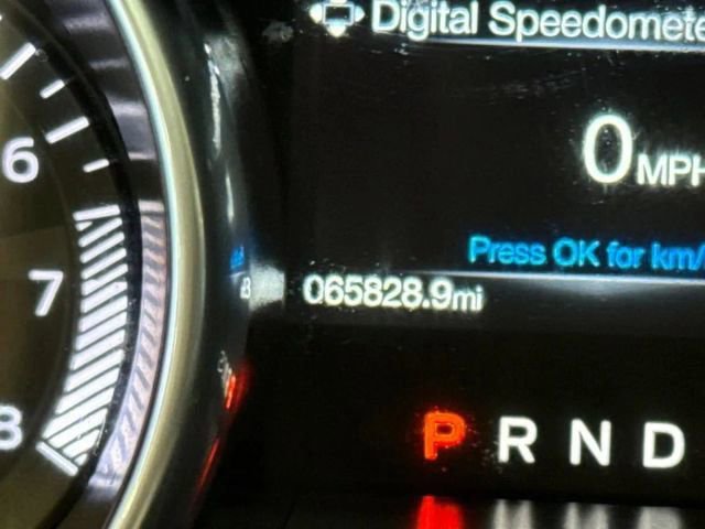 Used 2019 Ford Mustang EcoBoost w/ Equipment Group 101A image 17