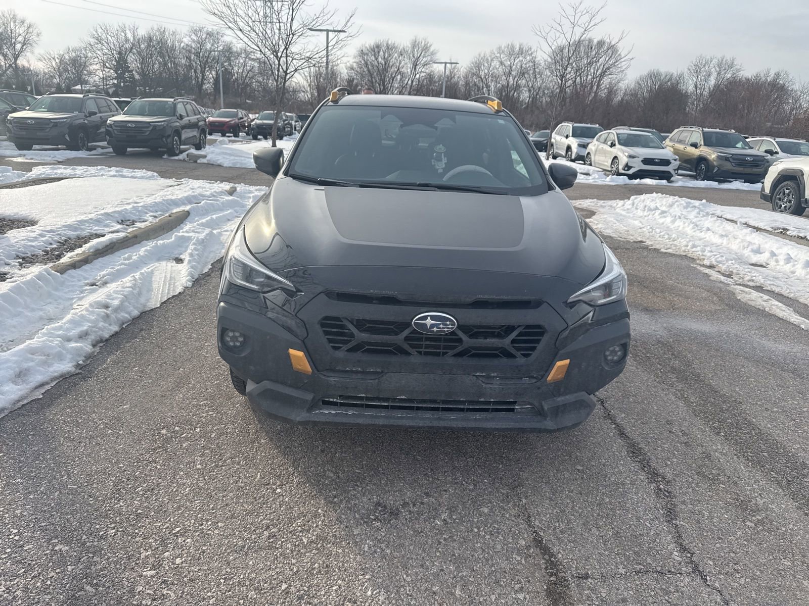 Used 2024 Subaru Crosstrek 2.5i Wilderness w/ Wilderness Package