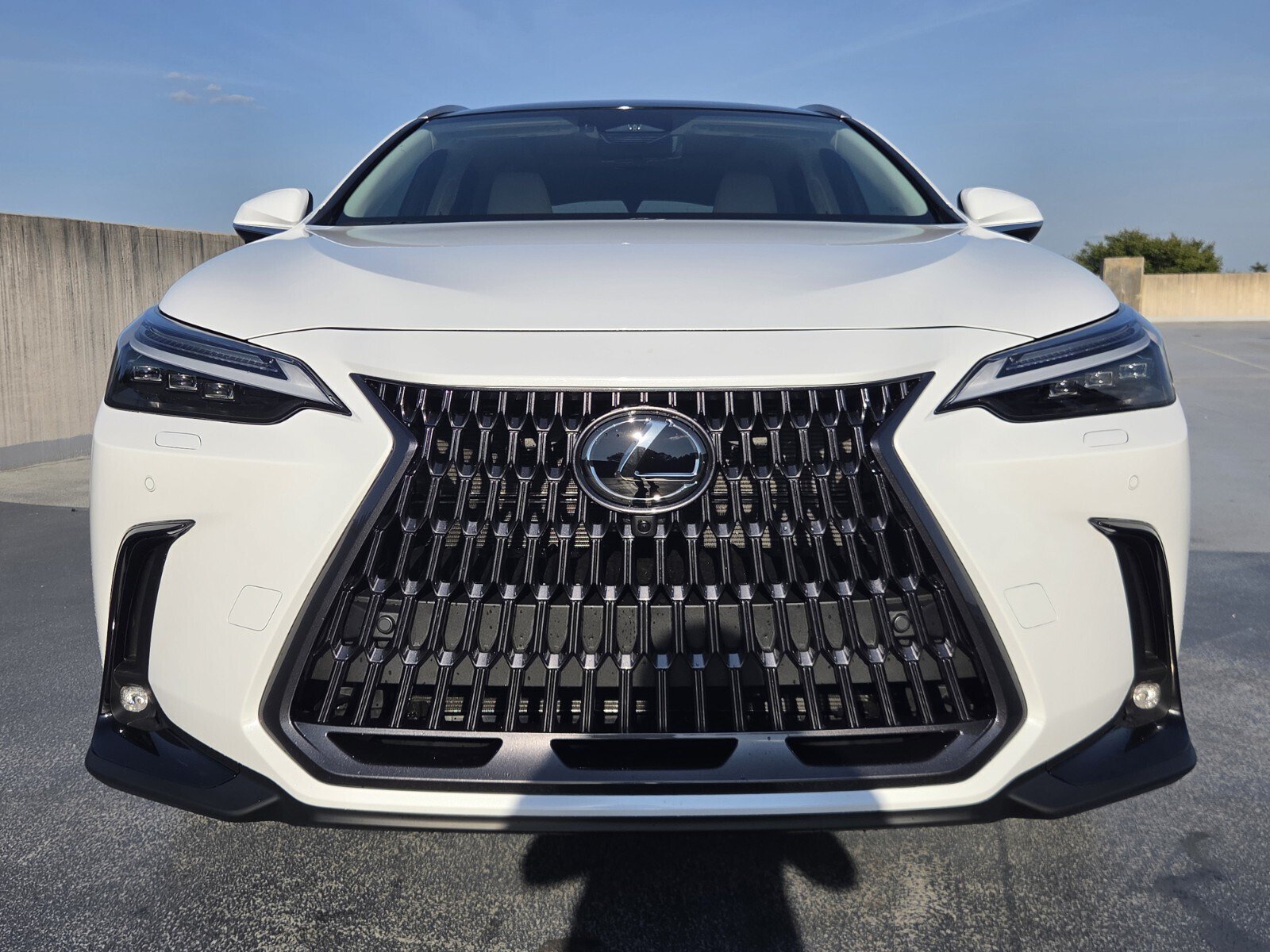New 2026 Lexus NX 350 AWD w/ Cold Area Package image 8