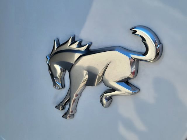 Certified 2023 Ford Bronco Big Bend image 5