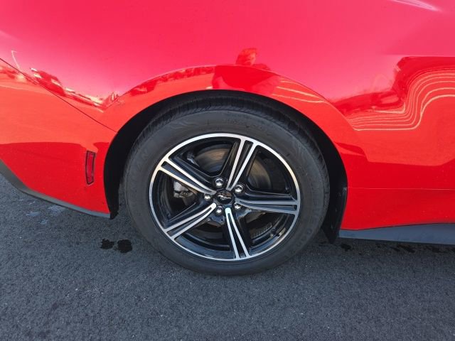 Certified 2024 Ford Mustang Premium image 7