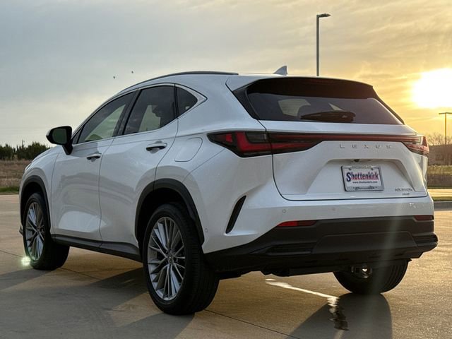Used 2022 Lexus NX 350h AWD w/ Vision Package image 6