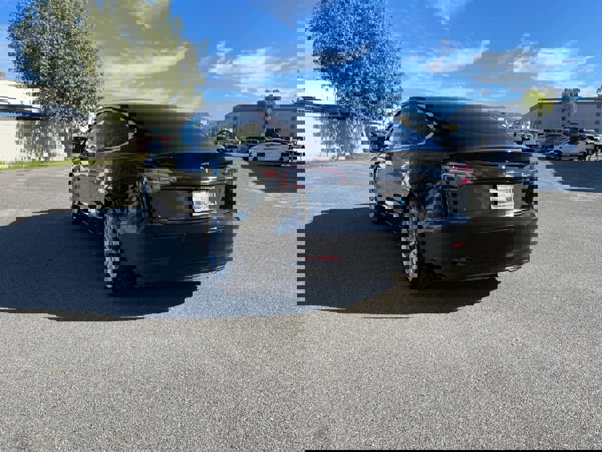 Used 2020 Tesla Model 3 Standard Range Plus image 7