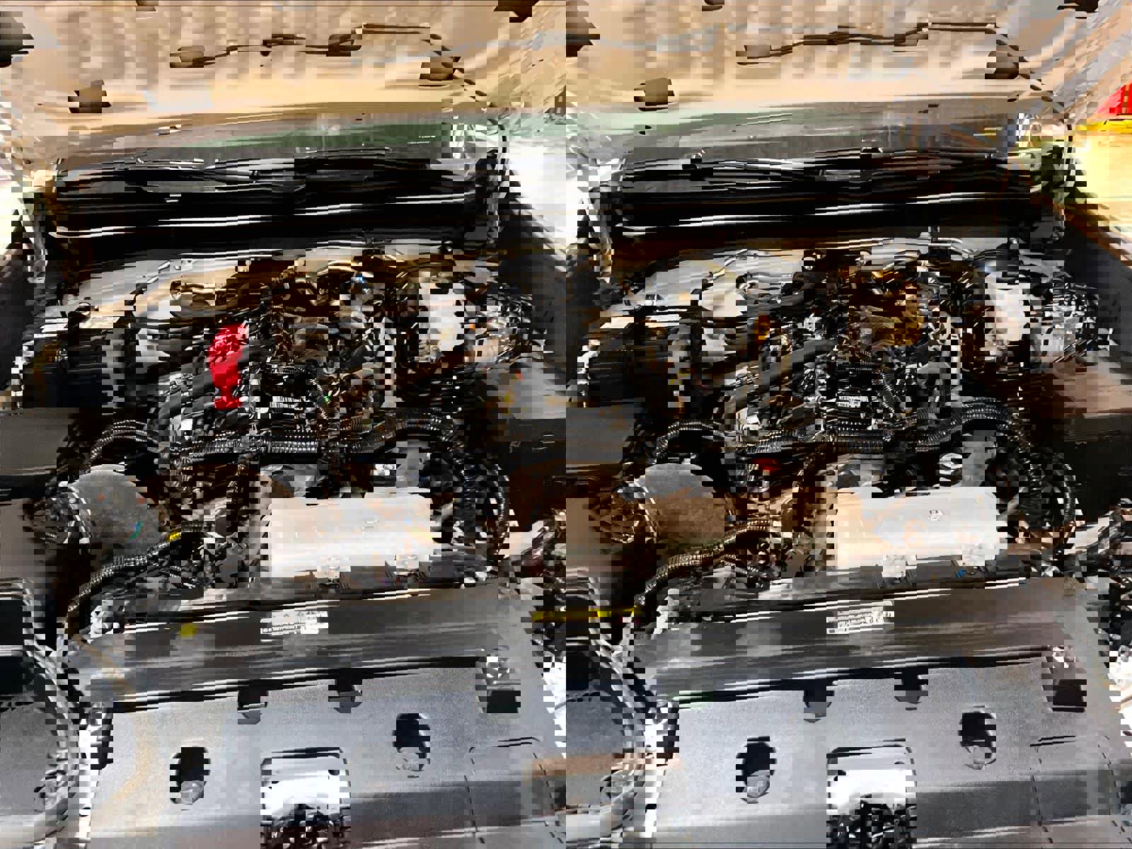 Used 2025 Toyota Tacoma TRD Off-Road image 29