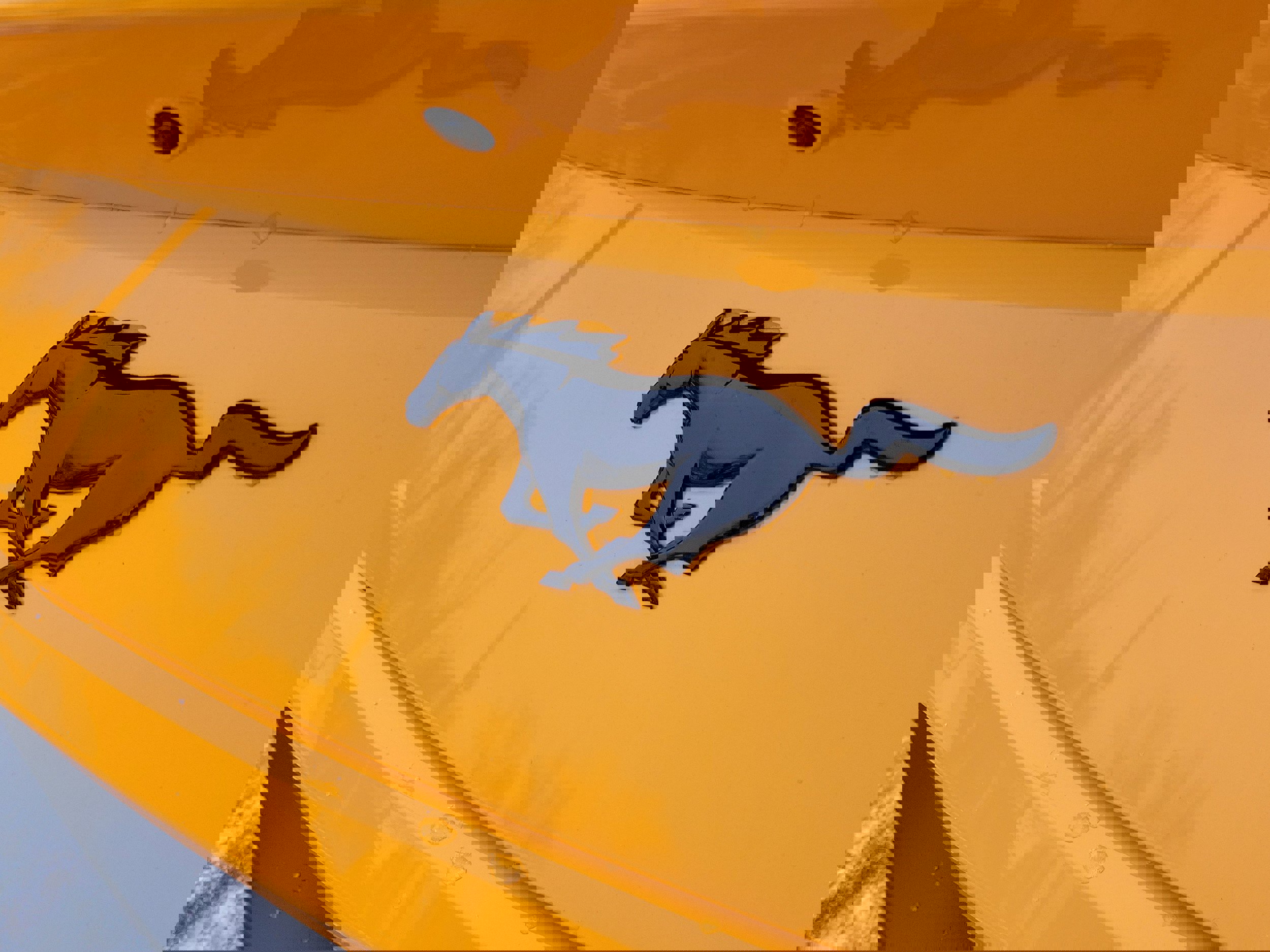 New 2026 Ford Mustang Premium image 44