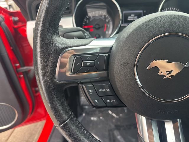 Used 2017 Ford Mustang GT Premium w/ Equipment Group 401A image 18