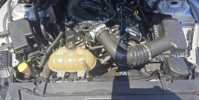 Used 2017 Ford Mustang Coupe RWD image 12
