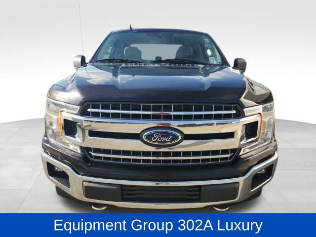 Used 2019 Ford F150 XLT w/ Equipment Group 302A Luxury image 2