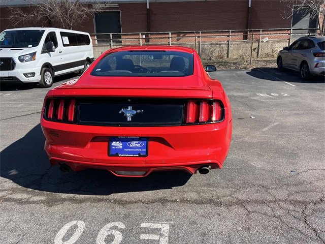 Used 2015 Ford Mustang Coupe w/ Equipment Group 051A image 4