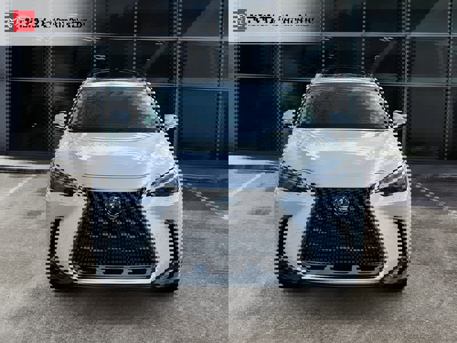 Used 2024 Lexus NX 300h AWD w/ Luxury Package image 14