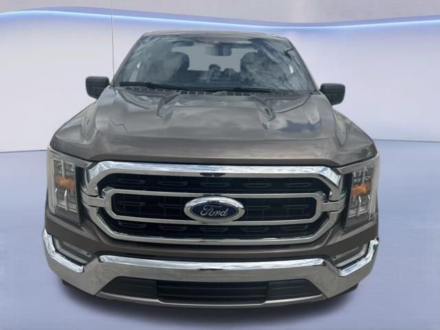 Used 2021 Ford F150 XLT w/ Equipment Group 302A High RWD image 3