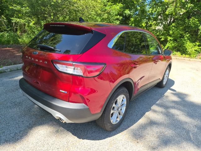 Used 2020 Ford Escape SE AWD/4WD image 8