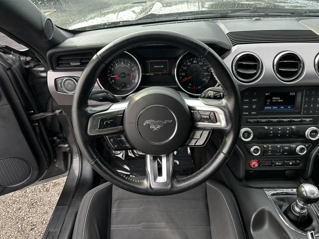 Certified 2017 Ford Mustang GT w/ Black Accent Package RWD image 14