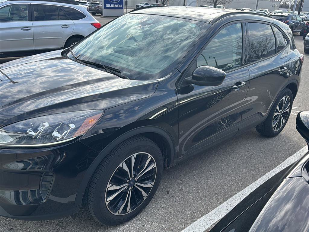 Used 2022 Ford Escape SE w/ SE Sport Appearance Package image 3