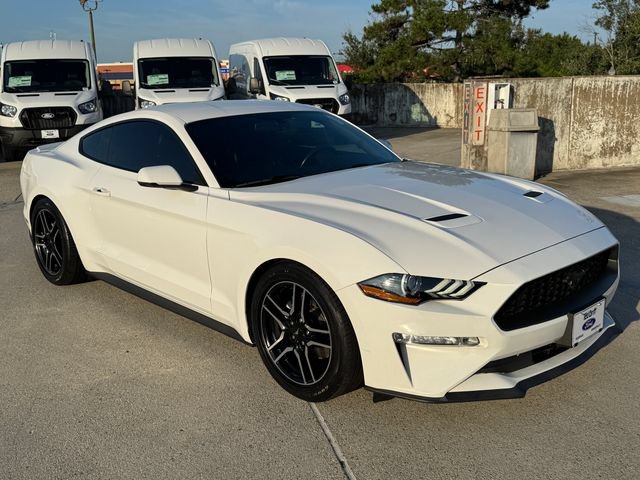 Used 2019 Ford Mustang Premium w/ Equipment Group 201A RWD image 3
