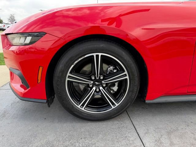 Certified 2024 Ford Mustang Premium image 5