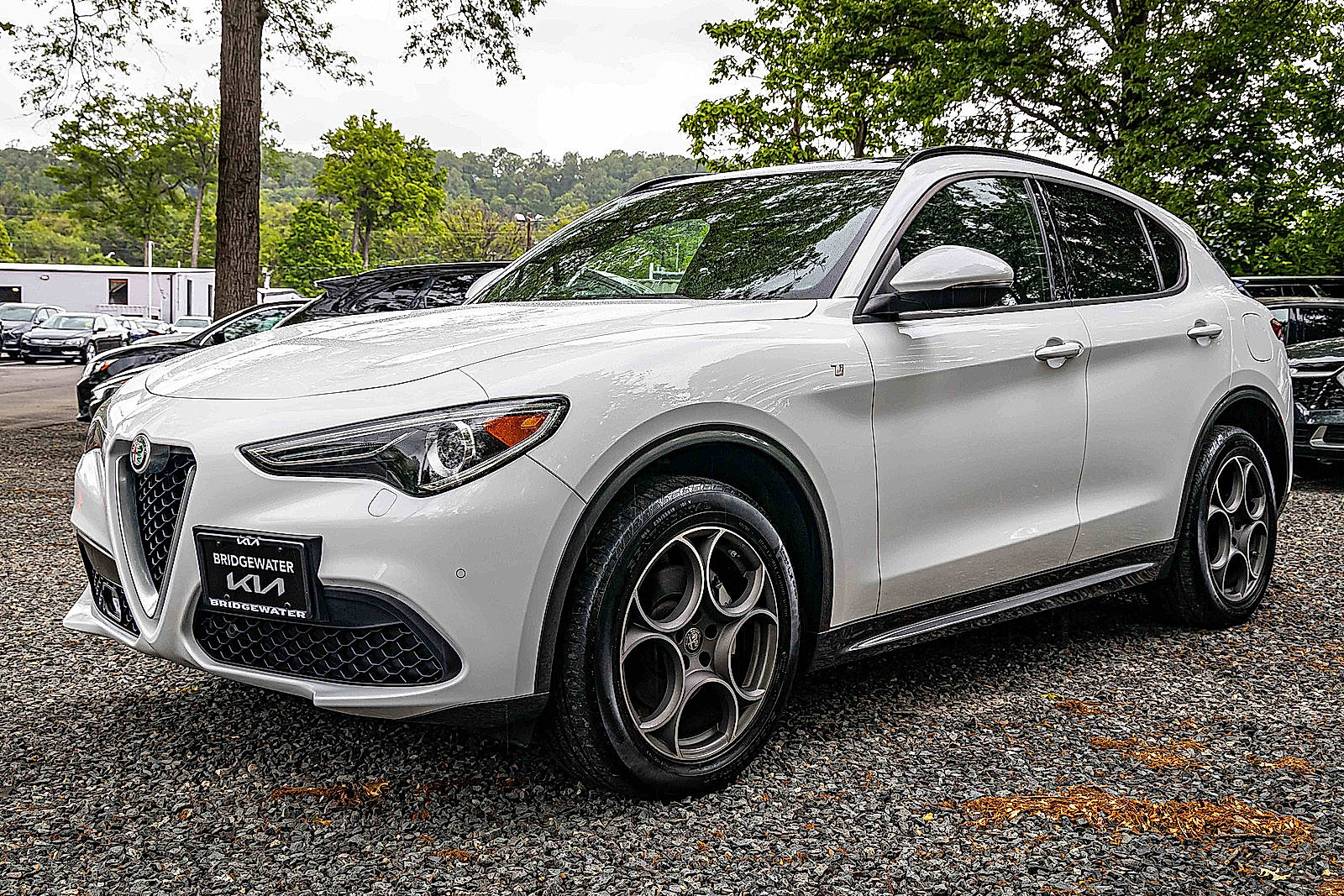 Used 2022 Alfa Romeo Stelvio Ti image 3