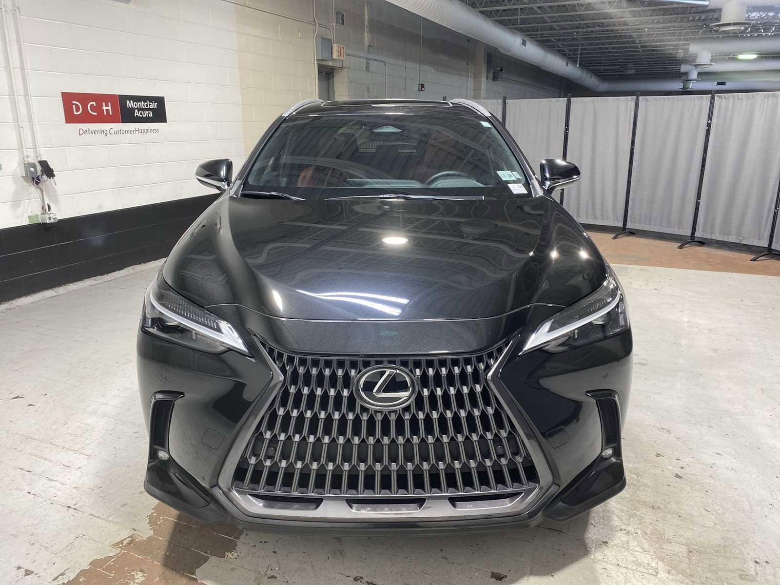 Used 2024 Lexus NX 350 AWD image 6