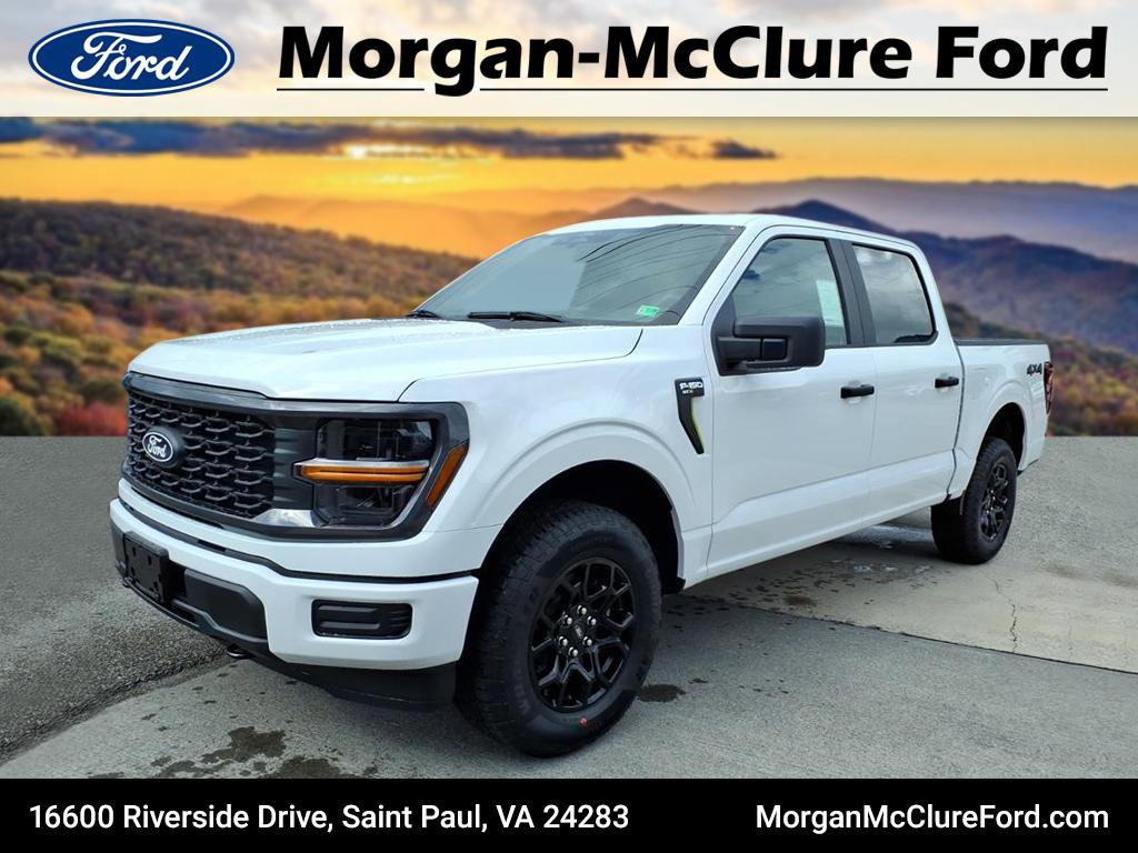 New 2025 Ford F150 STX image 1