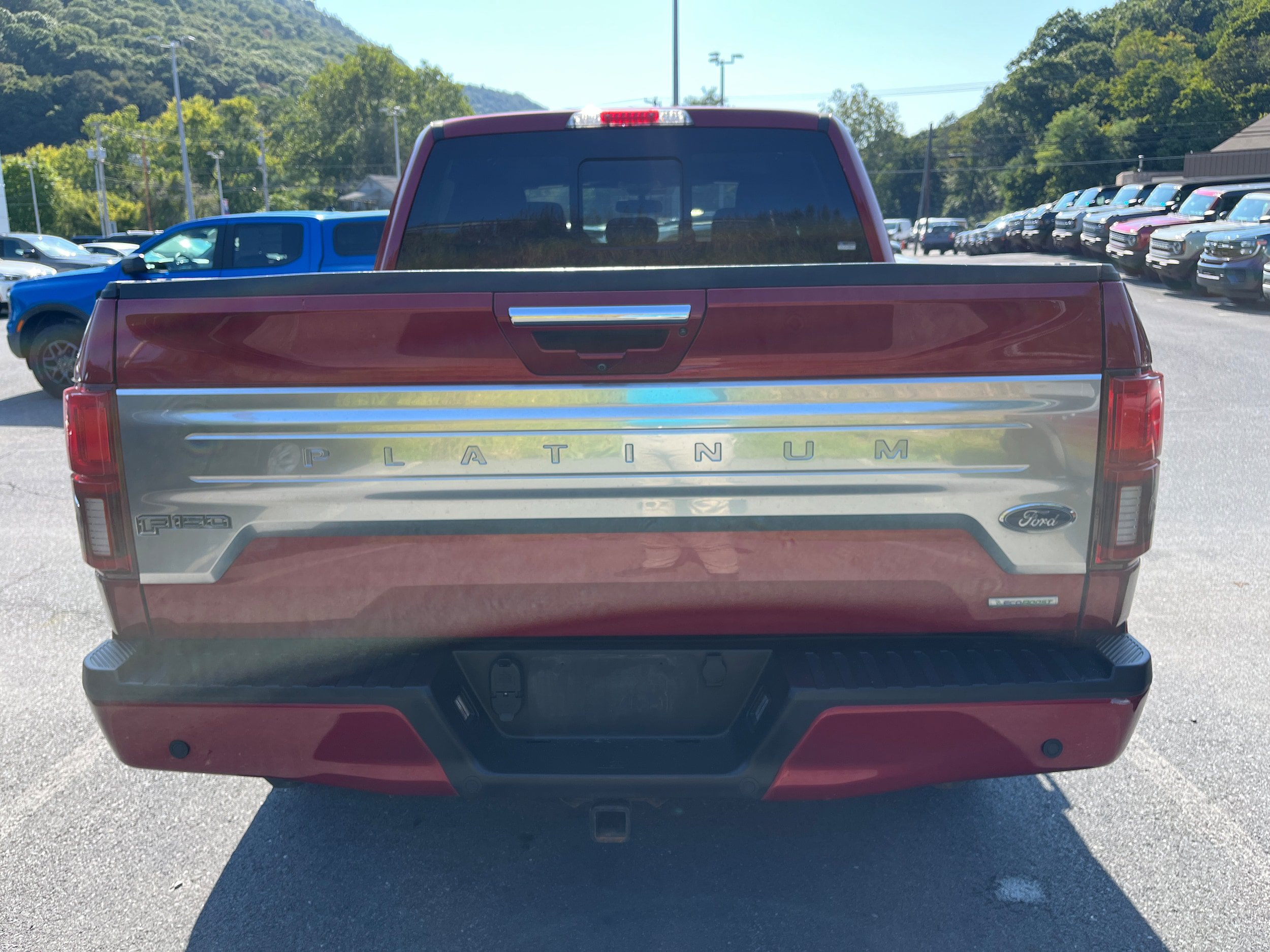 Used 2019 Ford F150 Platinum w/ Equipment Group 701A Luxury AWD/4WD image 10