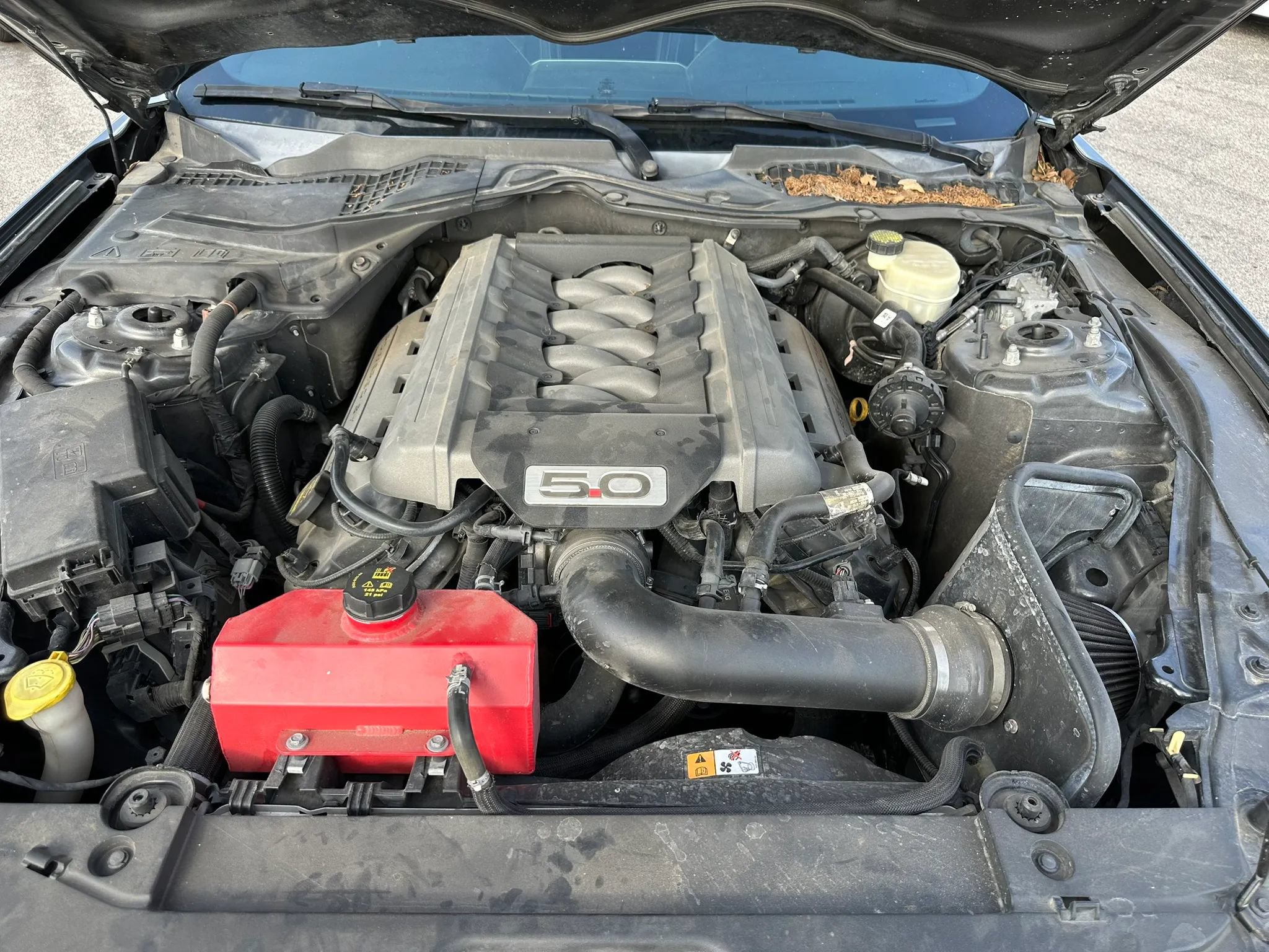 Used 2015 Ford Mustang GT Premium w/ Equipment Group 401A RWD image 14