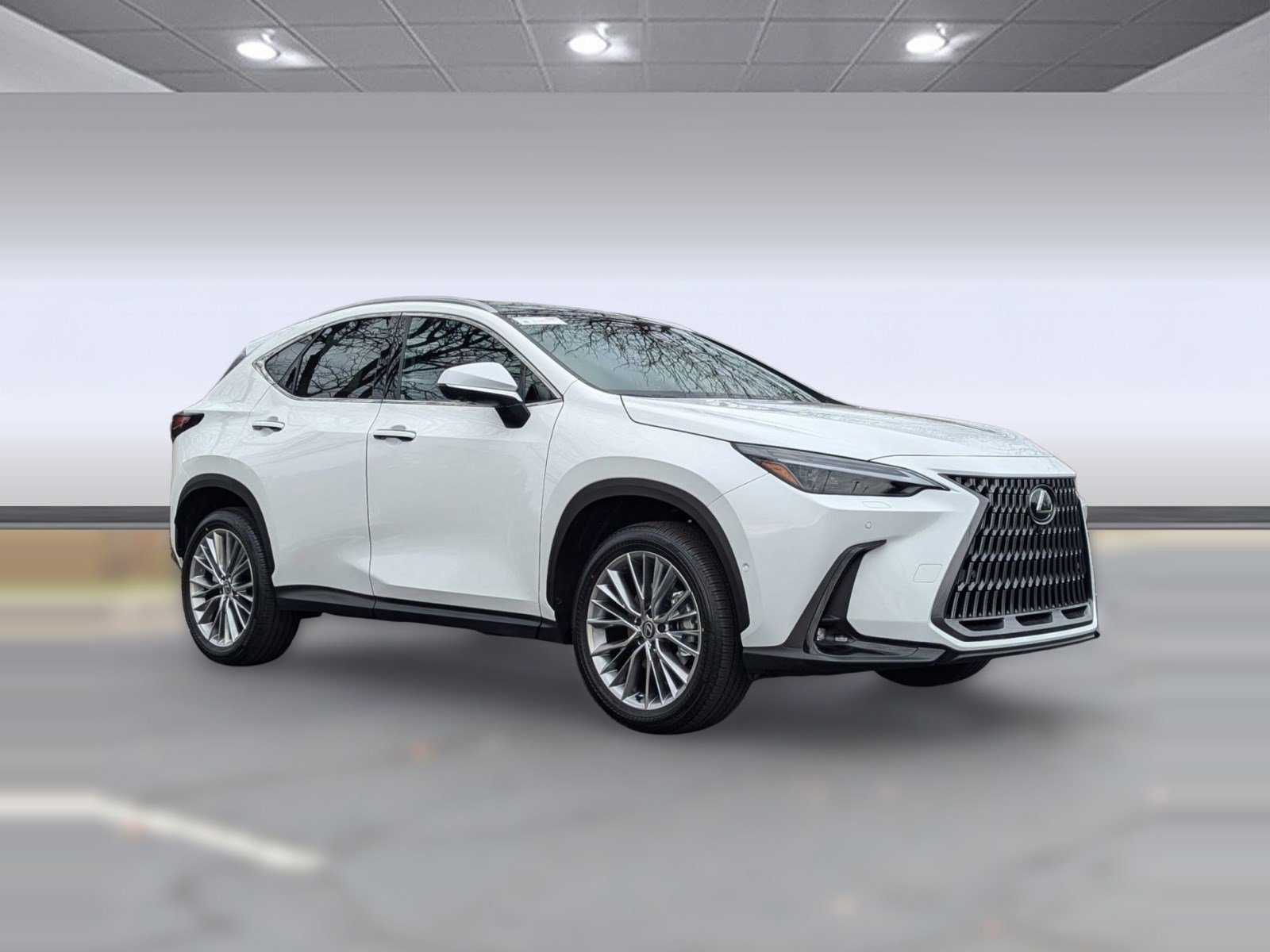 New 2026 Lexus NX 350 NX 350 Luxury image 7