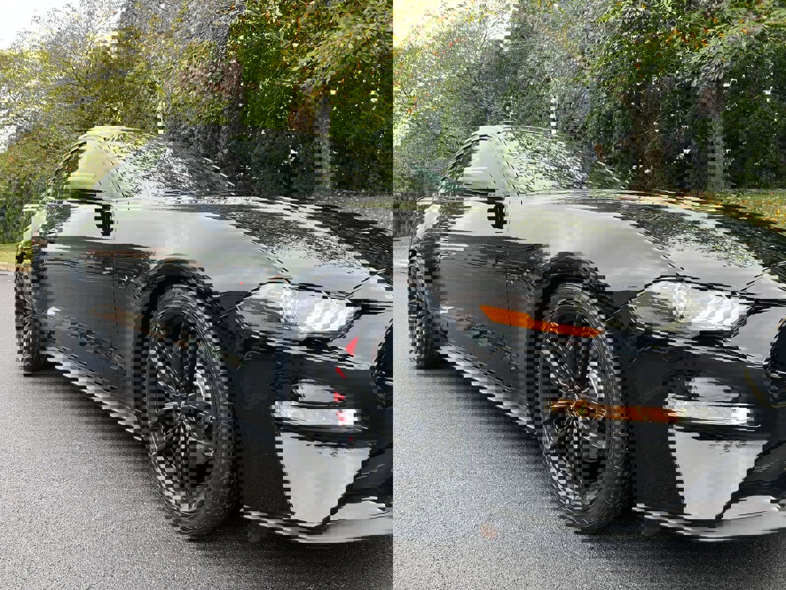 Used 2019 Ford Mustang GT Premium w/ Enhanced Security Package image 67