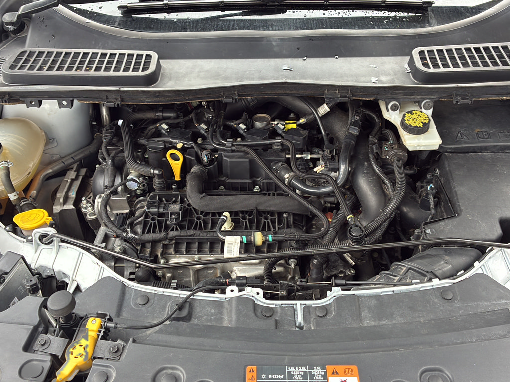 Used 2019 Ford Escape SEL FWD image 38