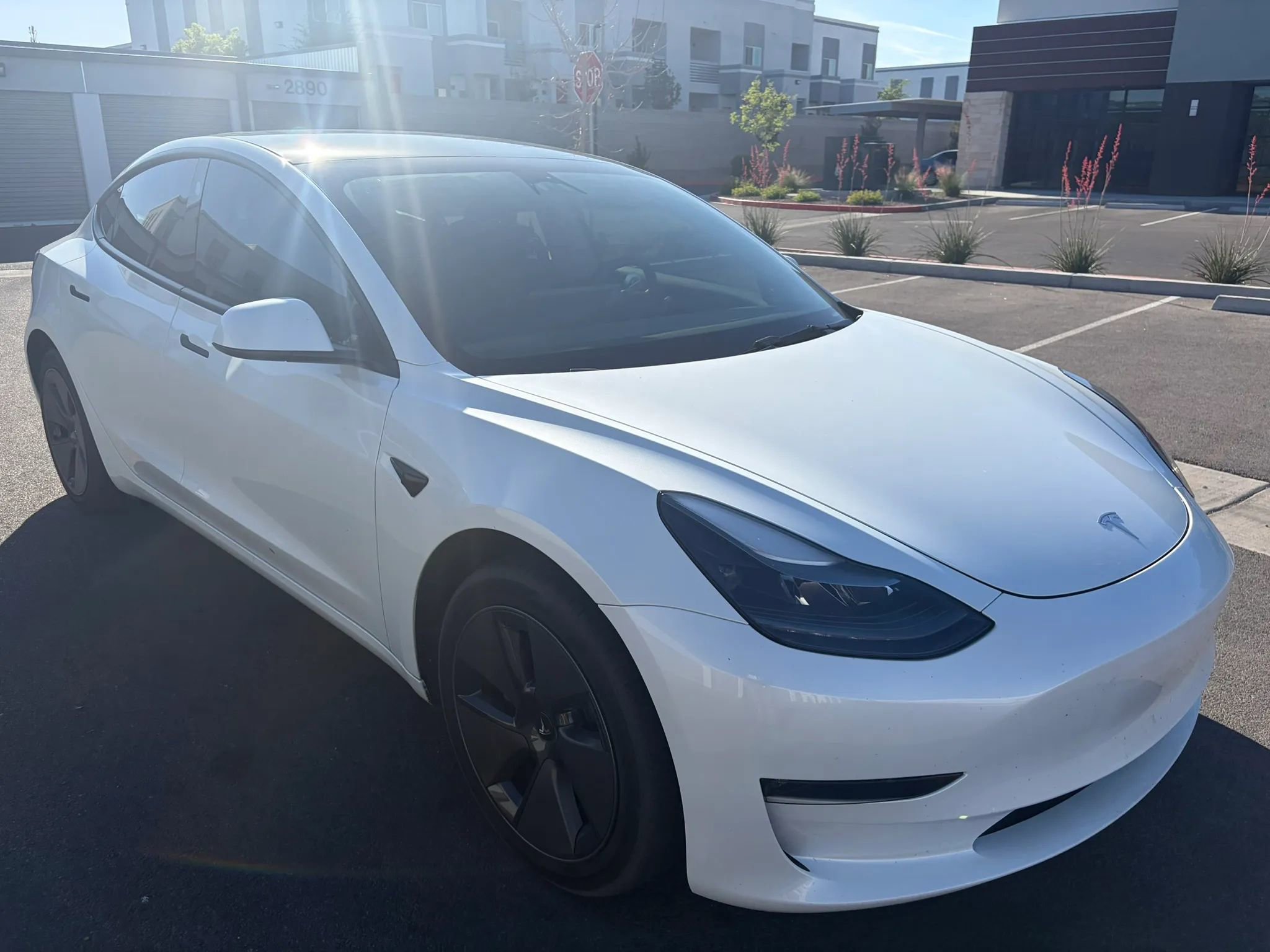 Used 2023 Tesla Model 3 Long Range AWD/4WD image 3