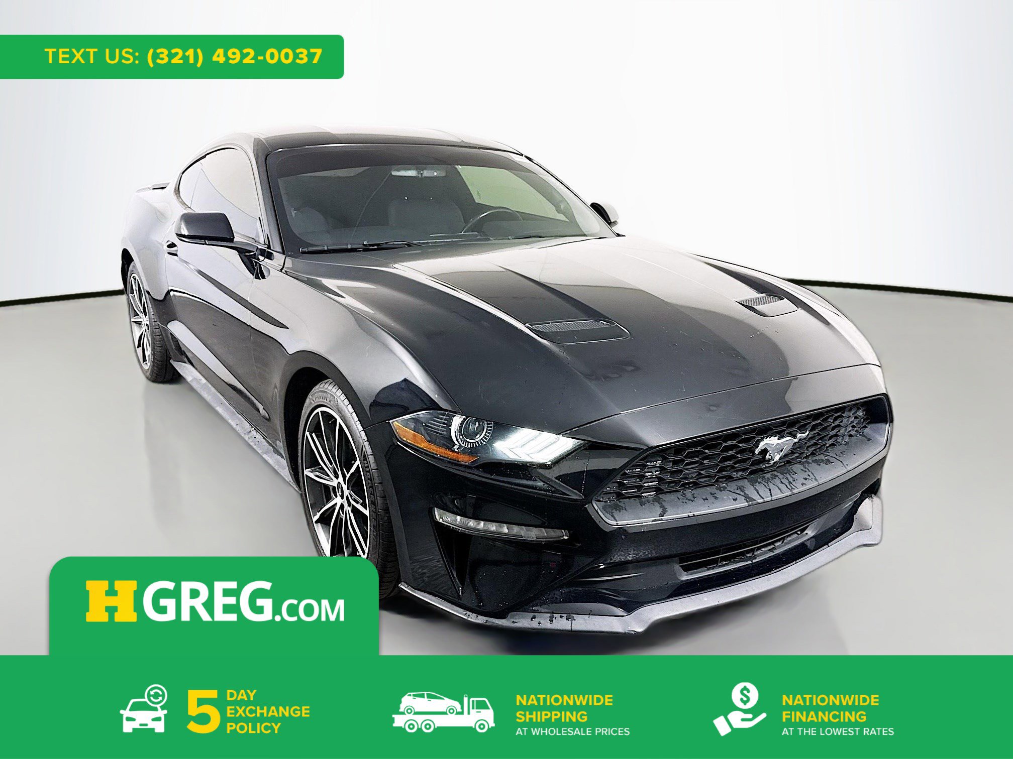 Used 2018 Ford Mustang EcoBoost w/ Equipment Group 101A image 1