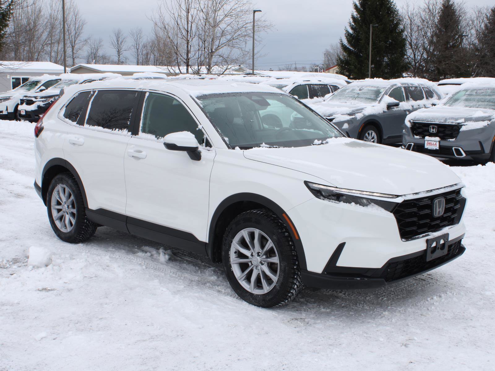 Certified 2024 Honda CR-V EX image 3