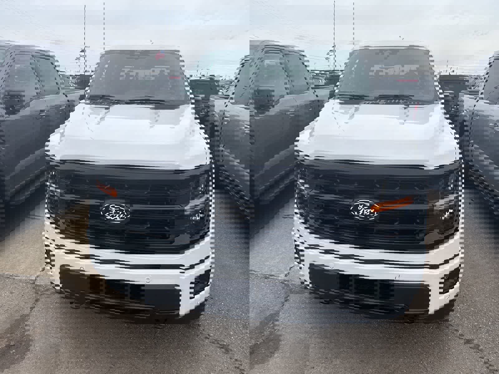 New 2026 Ford F150 XLT w/ Equipment Group 302A MID image 4
