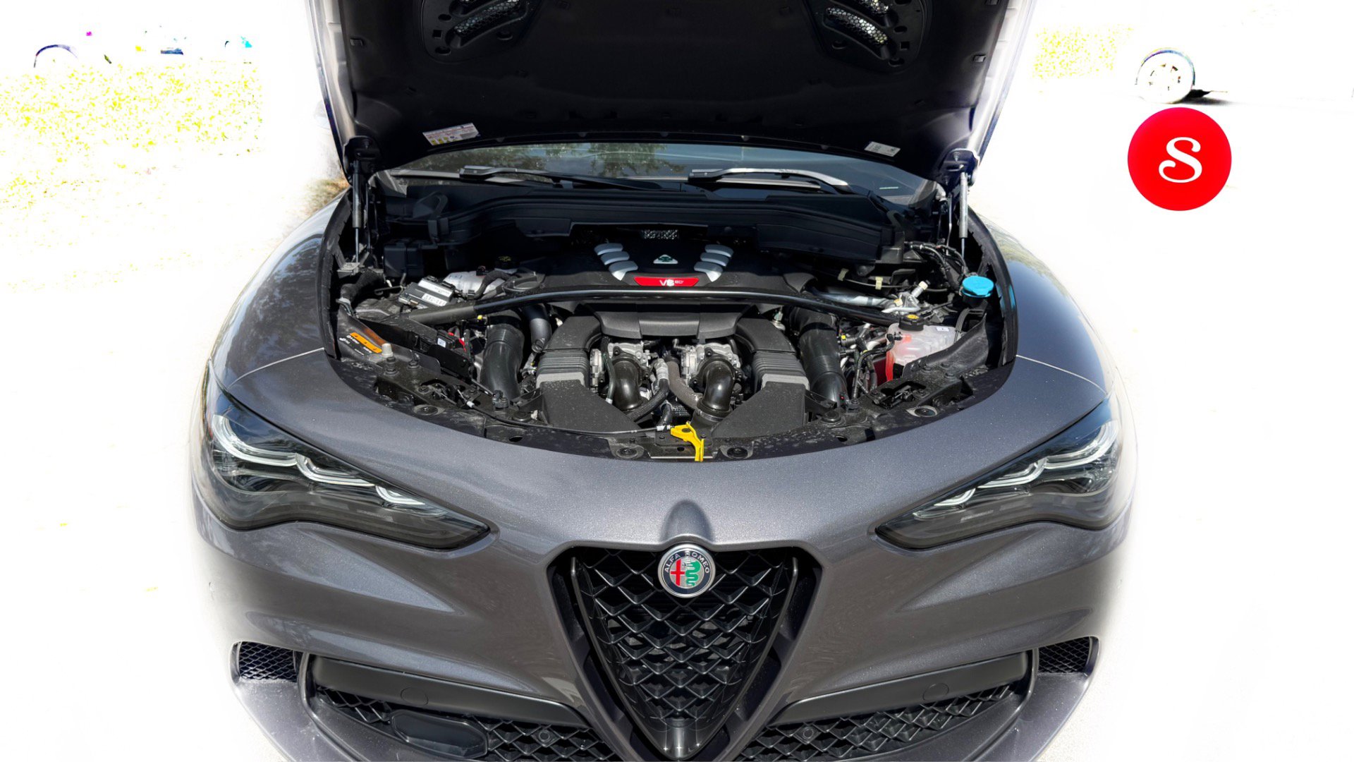 Used 2024 Alfa Romeo Stelvio Quadrifoglio w/ Active Assist Plus Package image 6