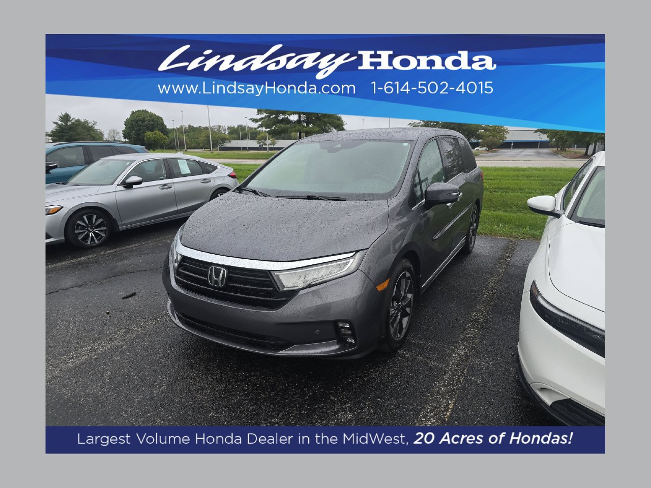 Used 2023 Honda Odyssey Elite image 1
