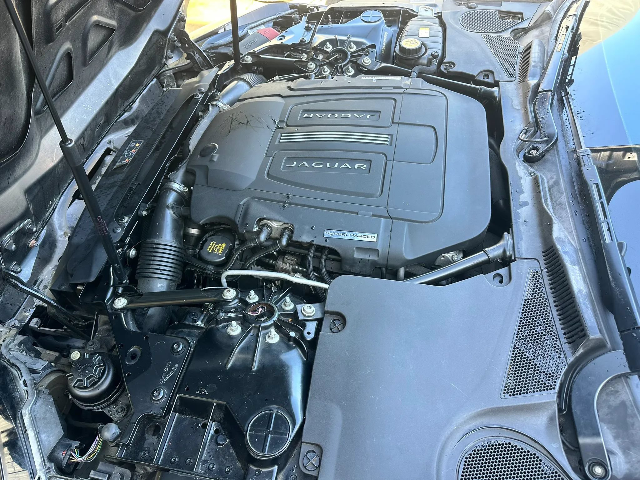 Used 2015 Jaguar F-TYPE R RWD image 20