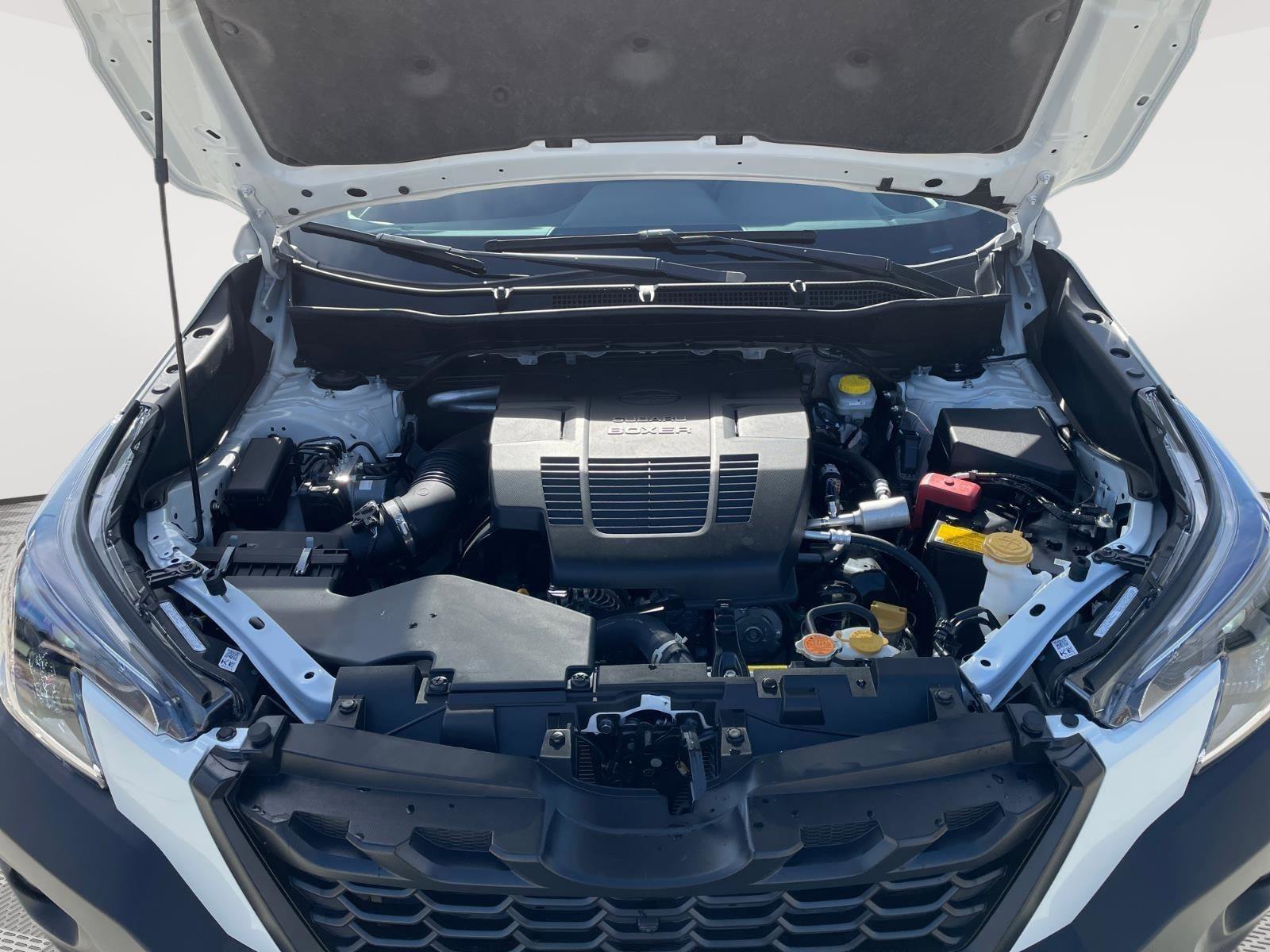 Certified 2024 Subaru Forester Wilderness w/ Wilderness Package image 7