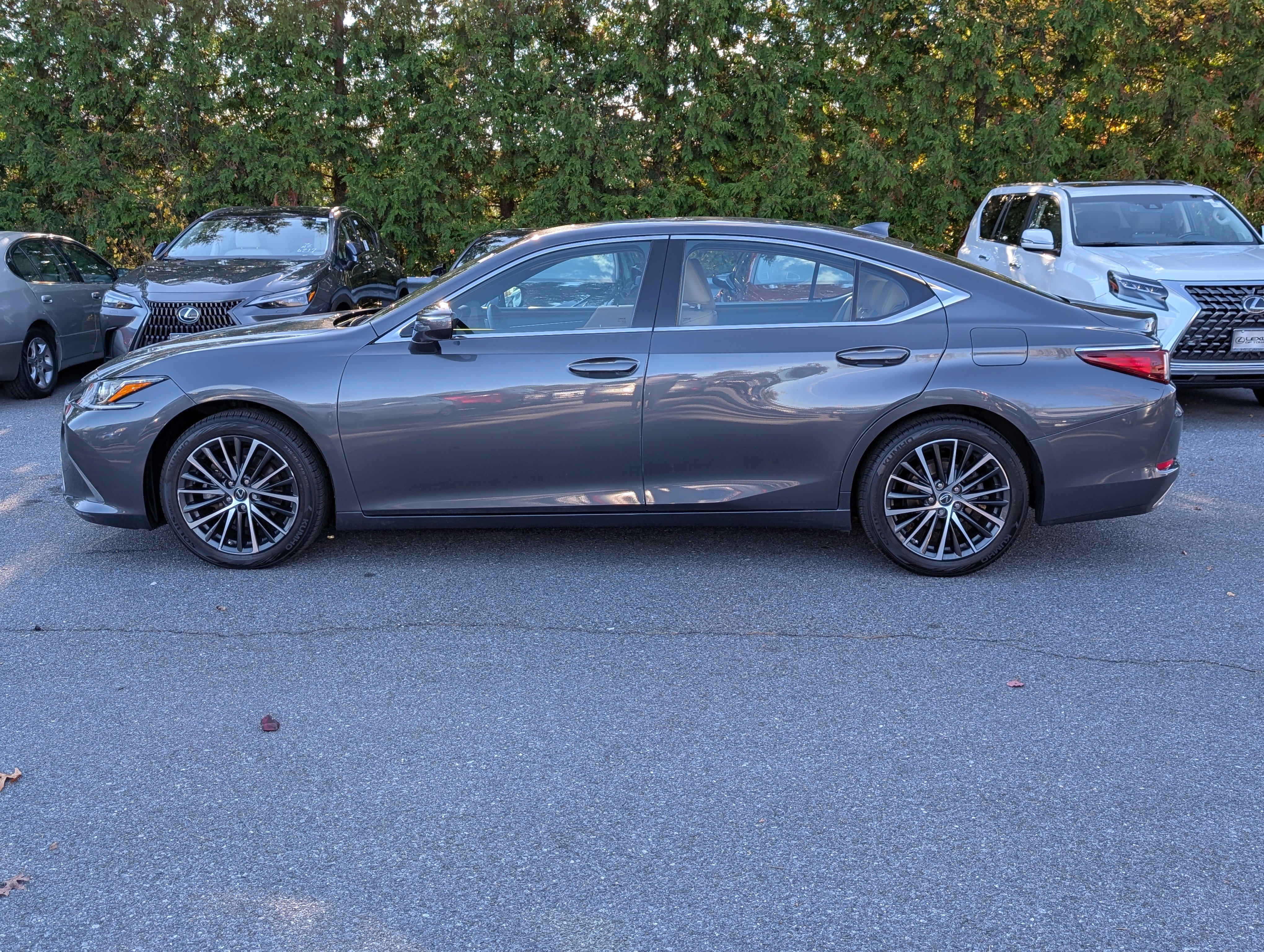 Certified 2024 Lexus ES 350 w/ Premium Package image 6