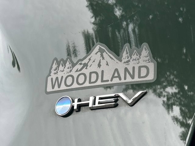Used 2025 Toyota RAV4 Woodland Edition w/ Weather Package AWD/4WD image 12