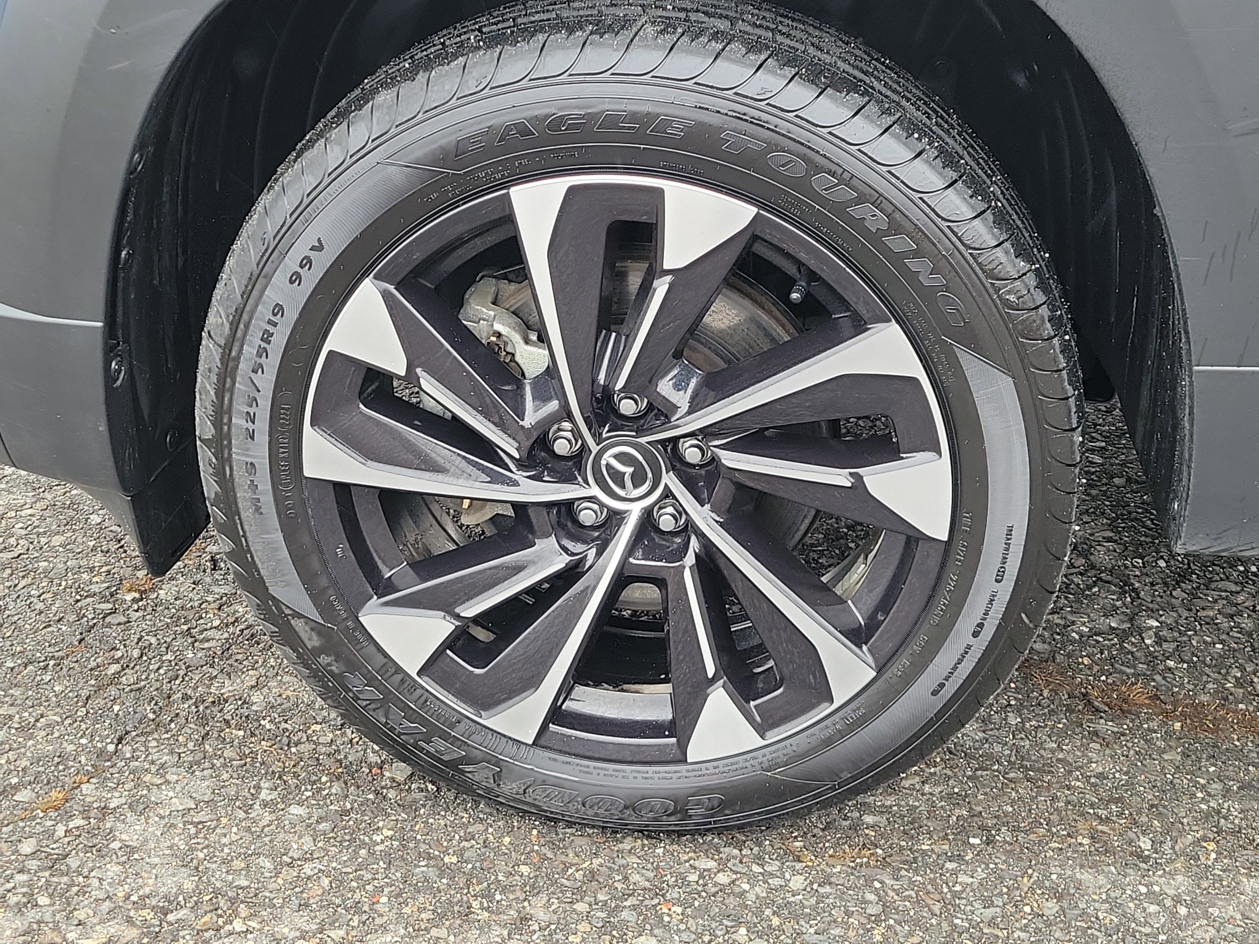 Used 2025 MAZDA CX-50 2.5 Hybrid w/ Premium Plus Pkg image 12