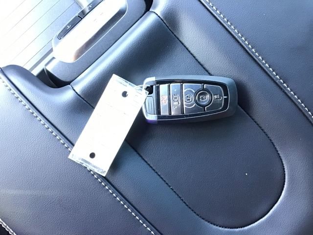 New 2025 Ford Expedition Platinum w/ Stealth Performance Package image 30