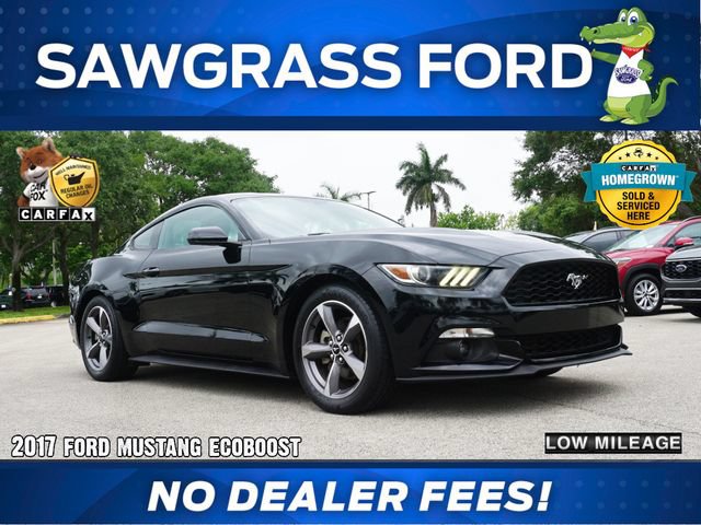 Certified 2017 Ford Mustang Coupe w/ Enhanced Security Package RWD image 1