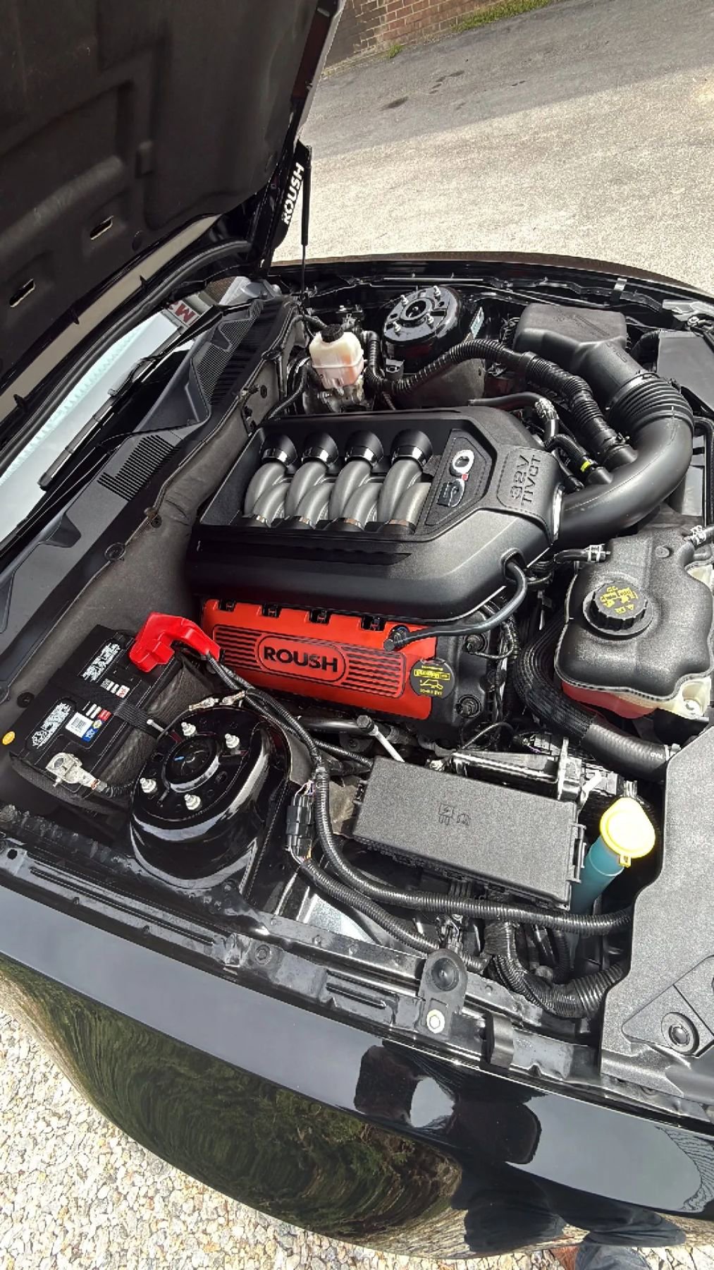 Used 2012 Ford Mustang GT Premium w/ HID Headlamps & Security Pkg RWD image 16