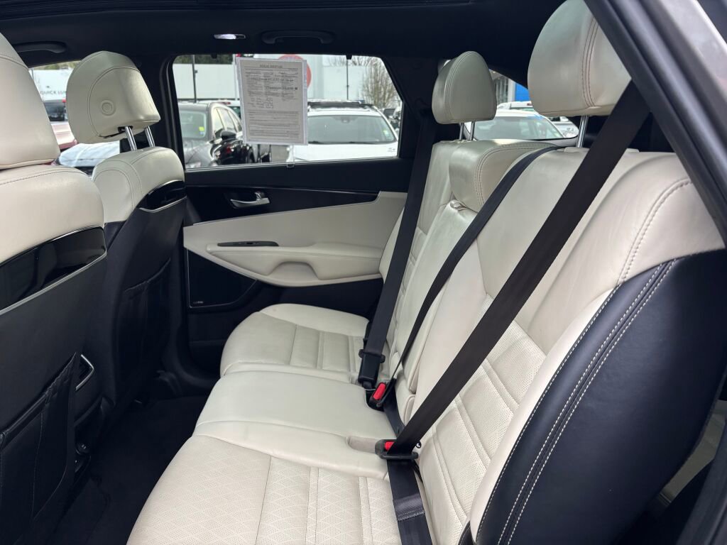 Used 2017 Kia Sorento SX image 14