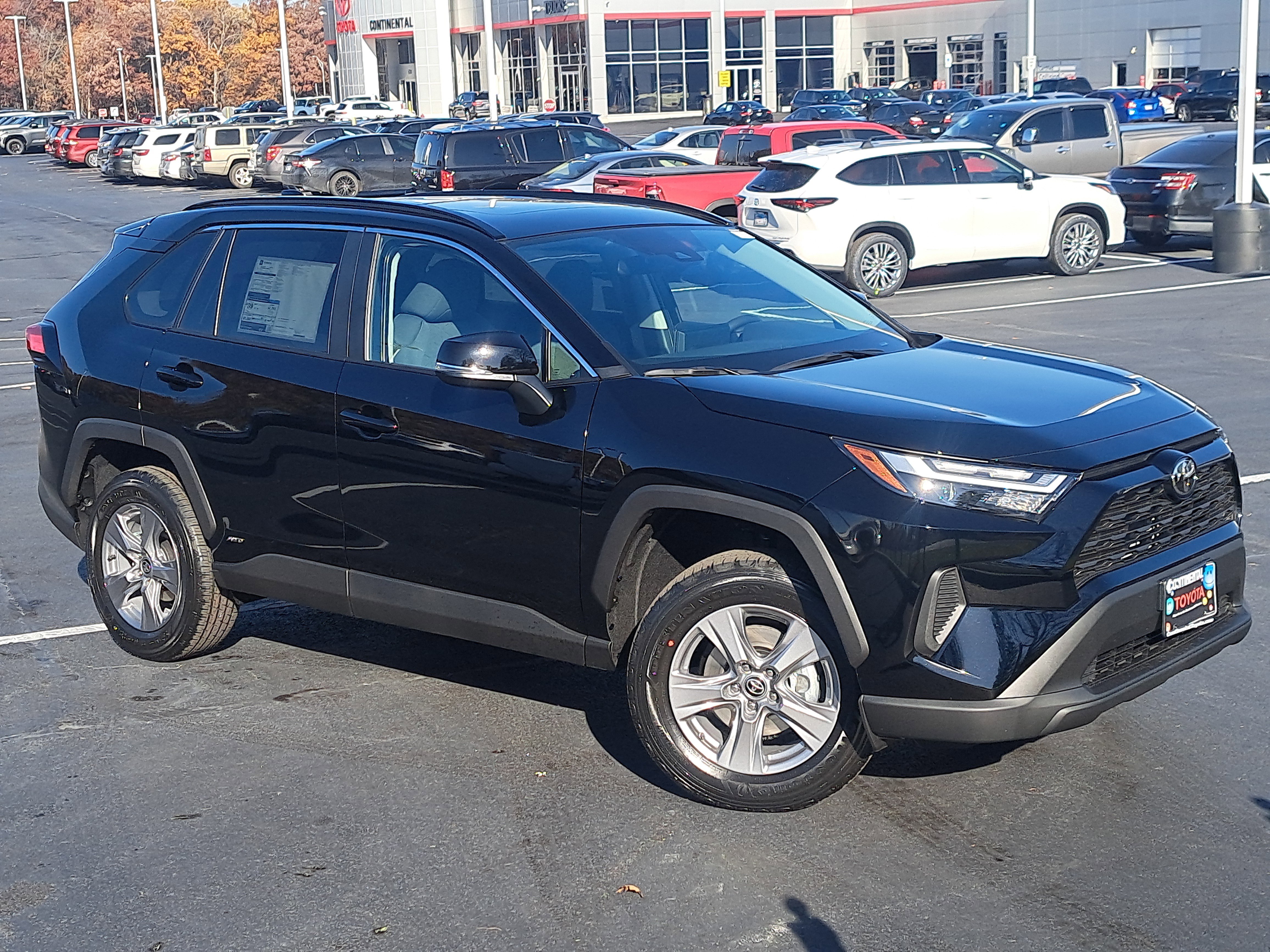 New 2025 Toyota RAV4 XLE