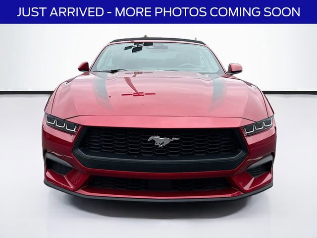 Used 2024 Ford Mustang Premium RWD image 2