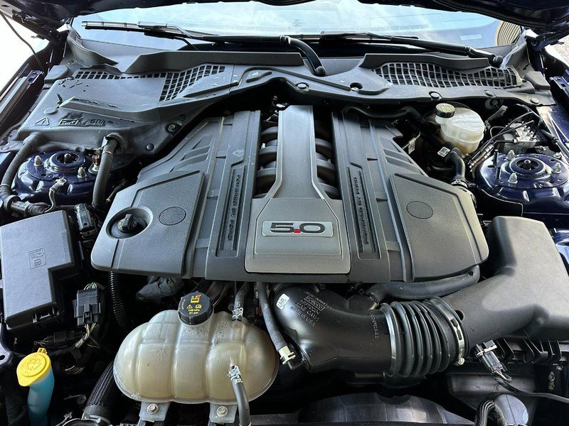 Used 2019 Ford Mustang GT w/ Equipment Group 301A image 14