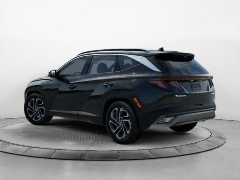 New 2026 Hyundai Tucson Limited image 5