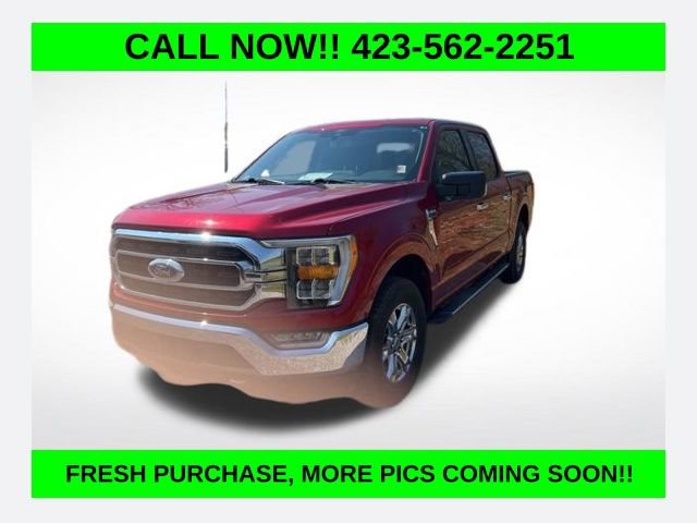 Used 2021 Ford F150 XLT w/ Equipment Group 302A High