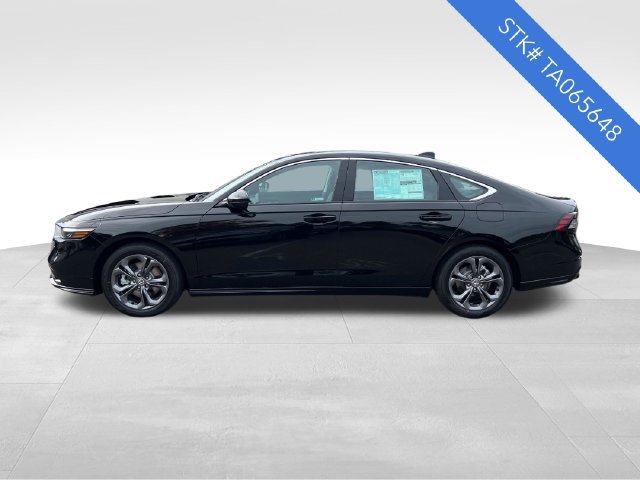 New 2026 Honda Accord EX-L image 4